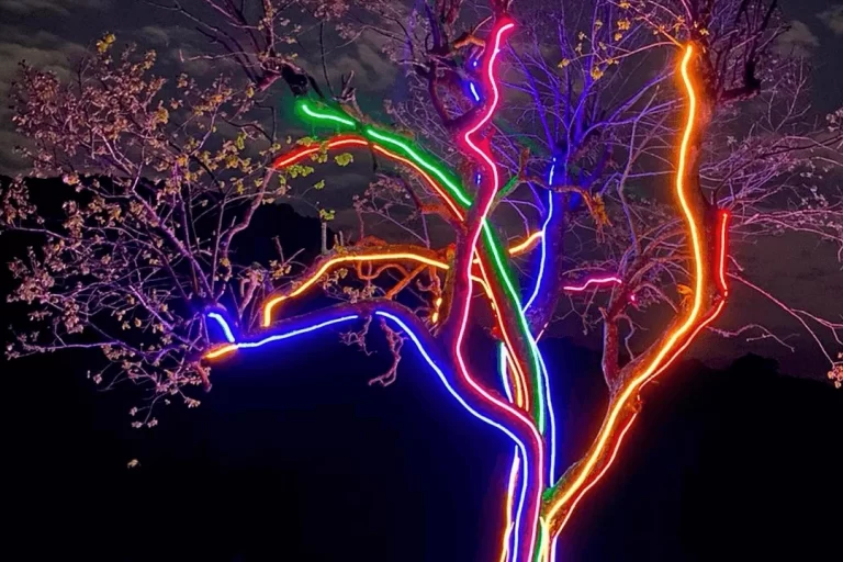 Lumni-Show-de-Luzes-Gramado