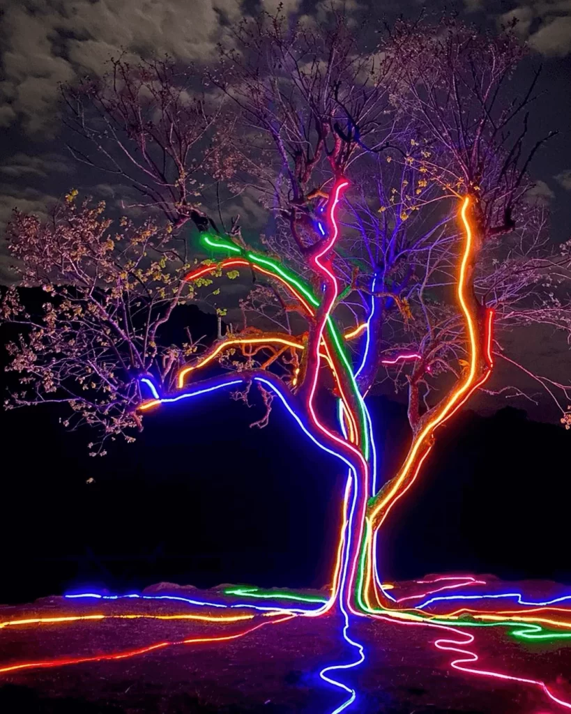 Lumni-Show-de-Luzes-Gramado