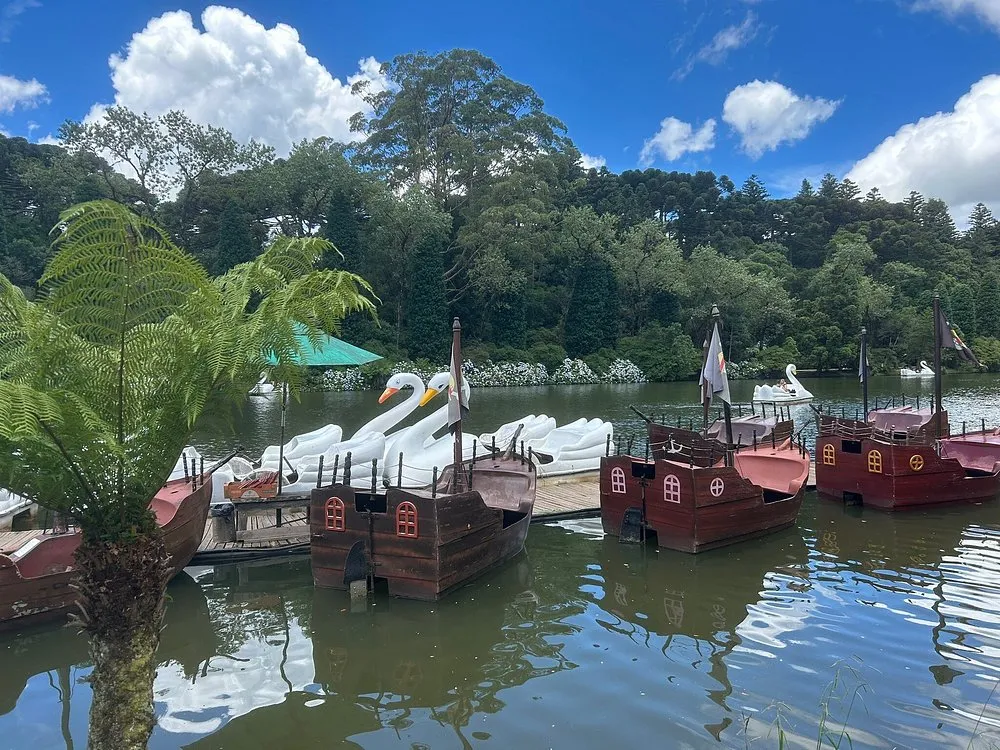 Porque conhecer Gramado em 2025?