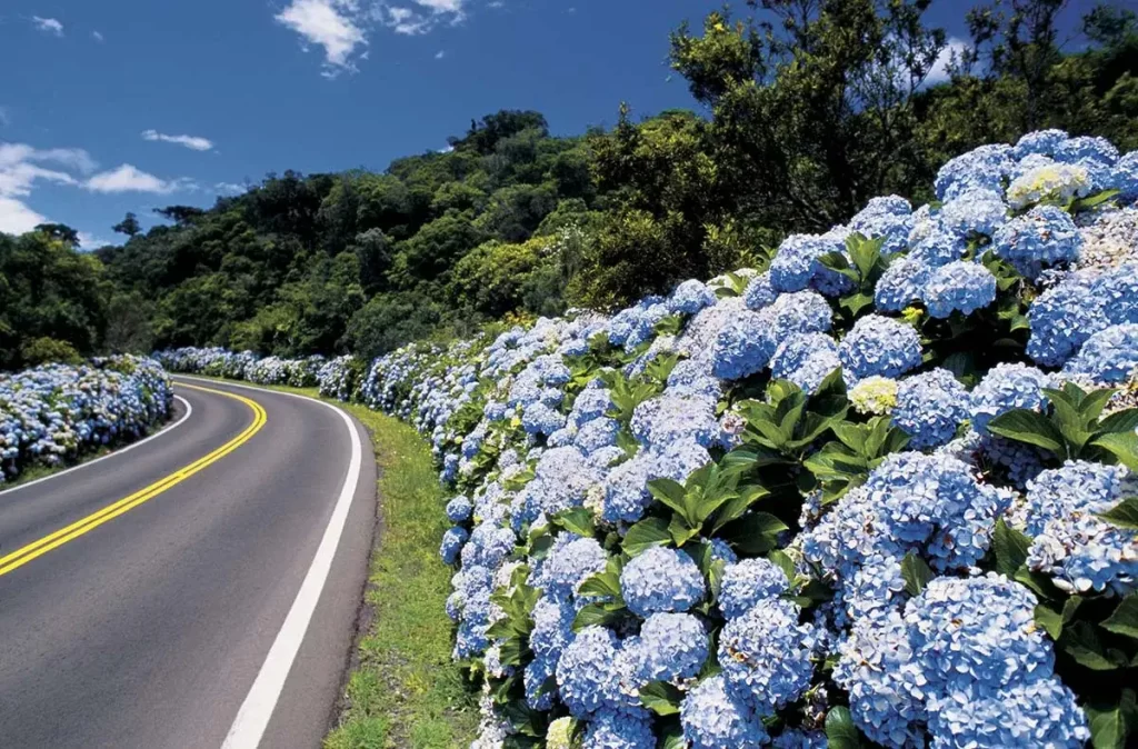 Chegar em Gramado de Carro