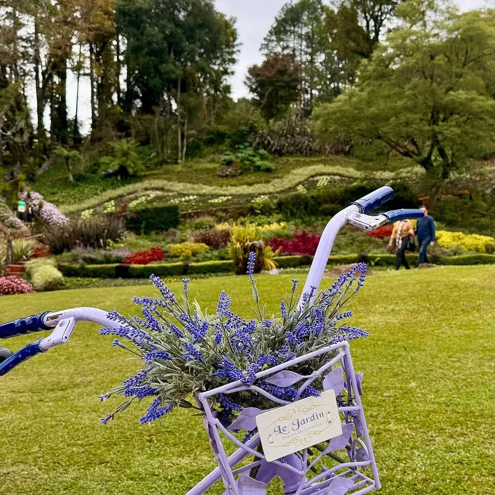 Neve em Gramado em 2025? Visite o Le Jardin